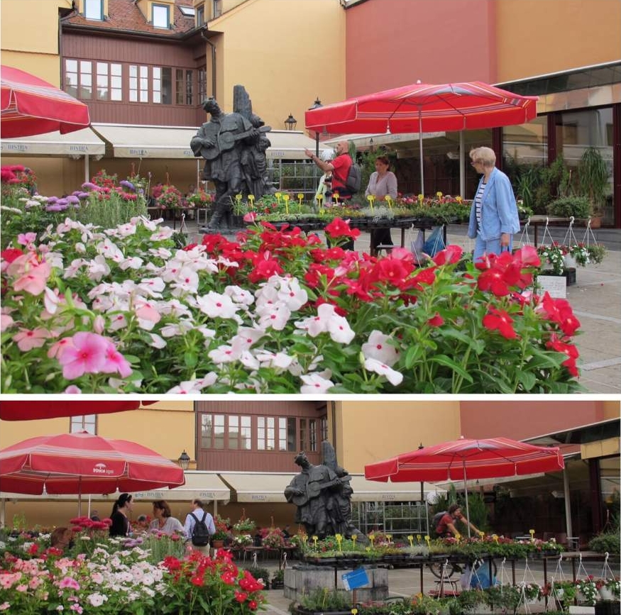 o que fazer em Zagreb Mercado Dolac Feira de Flores