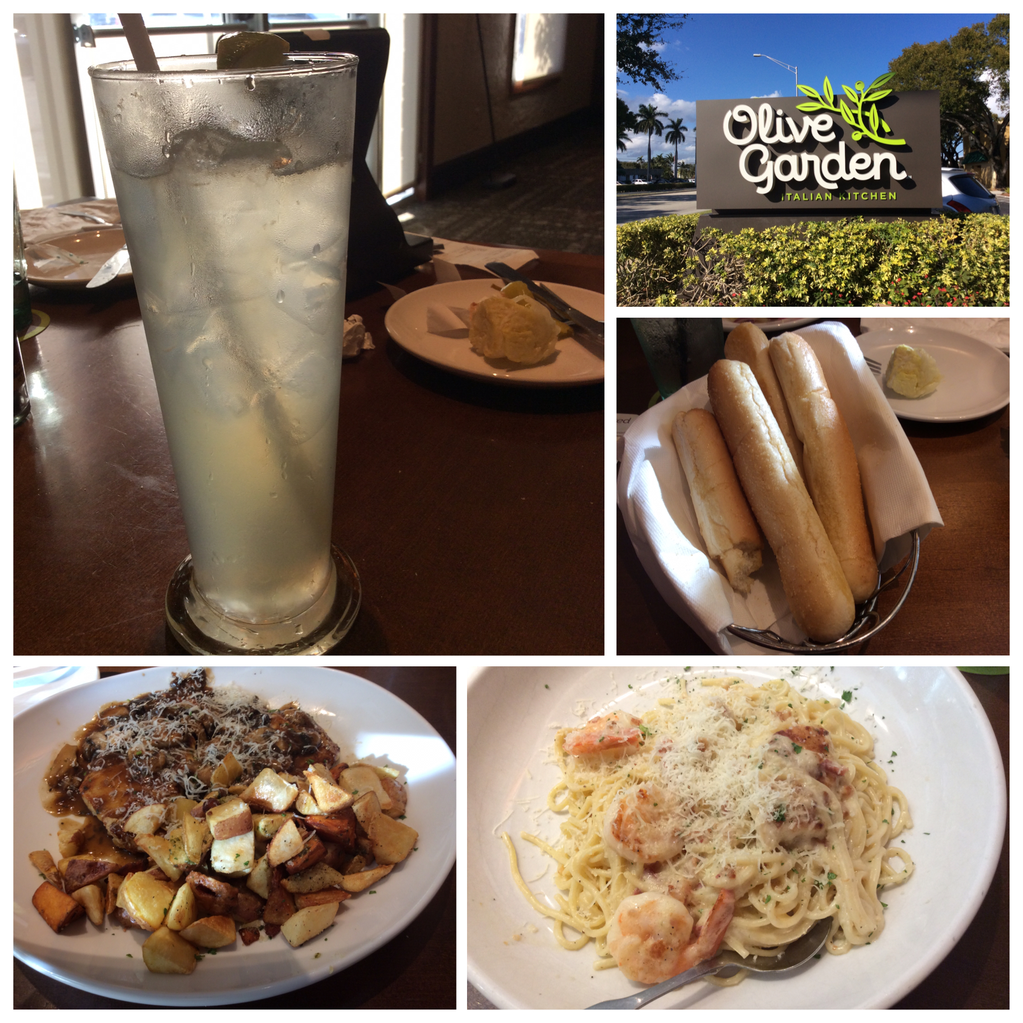 Fort Lauderdale Restaurante Olive Garden Sentidos Do Viajar