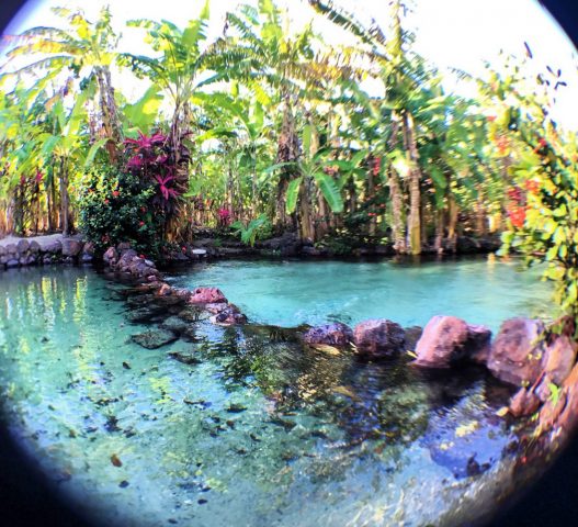 Tao Paradise, a Indonésia brasileira em Catolé