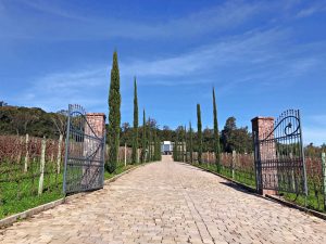Vinícola Almaúnica - entrada