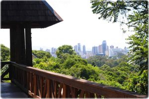 Curitiba Vista de Cima - Mirante dos Filósofos, Bosque do Alemão